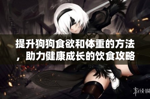 提升狗狗食欲和体重的方法，助力健康成长的饮食攻略