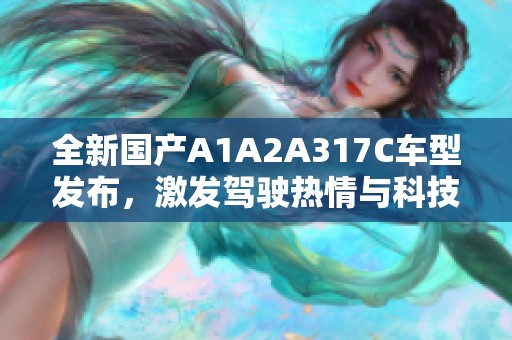 全新国产A1A2A317C车型发布，激发驾驶热情与科技感